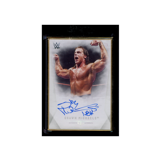 Shawn Michaels 2019 Topps Transcendent Collection WWE Auto Gold Frame /25