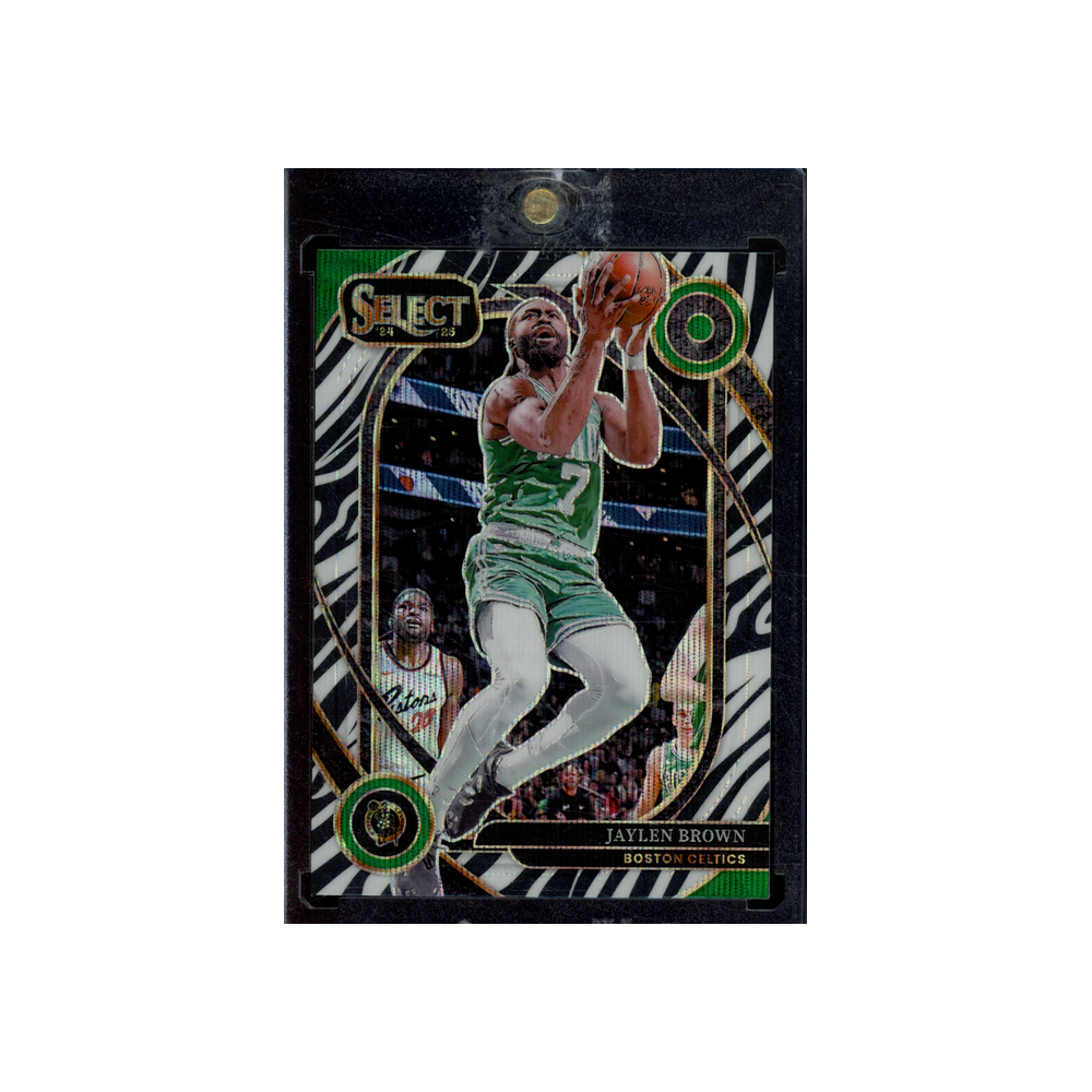 Jaylen Brown 2024-25 Panini Select Basketball Zebra Courtside
