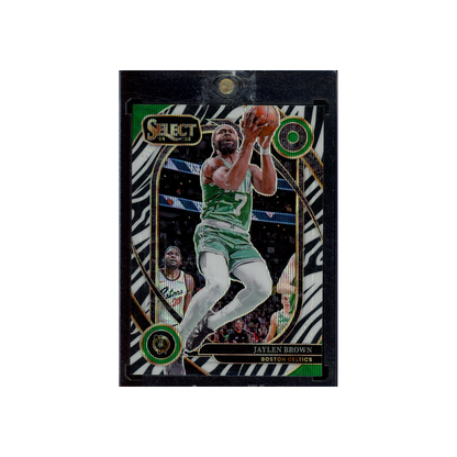 Jaylen Brown 2024-25 Panini Select Basketball Zebra Courtside