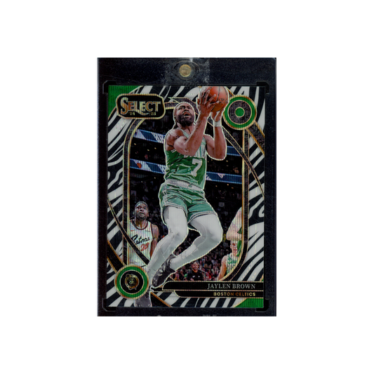 Jaylen Brown 2024-25 Panini Select Basketball Zebra Courtside