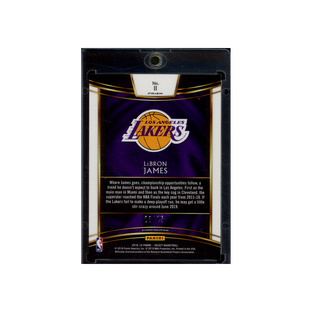 LeBron James 2018-19 Panini Select Basketball Green /75