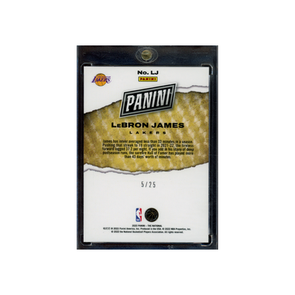 LeBron James 2022 Panini The National Silver Waves /25