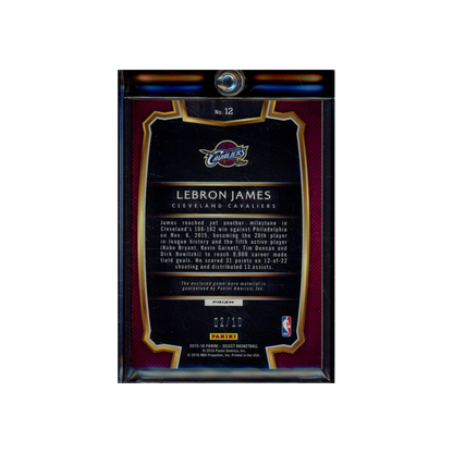 LeBron James 2015-16 Panini Select Basketball Patch Gold /10